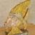 Italian yellow/pink alabaster carving statue sculpture of a fish 7 thumbnail