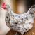 Silverudd Blue Splash Pullets 1 thumbnail