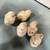 Baby Chicks 3 thumbnail
