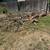 Arroyo grande Landscaping 17 thumbnail