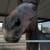 OTTB Project 8 thumbnail
