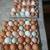 Huevos frescos leche de chiva fresca Huevo fertile / farm fresh eggs Fresh goat 10 thumbnail