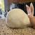 Rex Rabbits 3 thumbnail