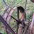 VINTAGE INT’L HARVESTER SICKLE BAR MOWER W/ SEAT 5 thumbnail