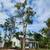 K RUSH TREE SERVICE AND LANDSCAPING LLC 8 thumbnail