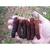 Rare Mulberry Trees, Giant black pakistan, Super Sweet! 2 thumbnail