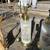 (2) Vintage Asian influence reverse painted satin glass lamps A228 2 thumbnail