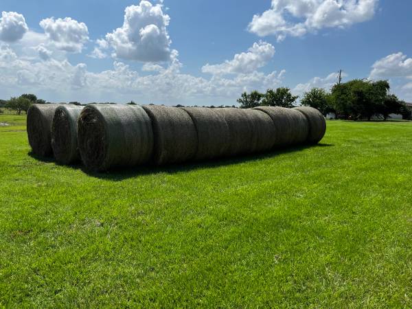 Horse Quality Coastal Hay 1