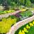 MonteVista Landscape Maintenance & Construction w/Insurance 10 thumbnail