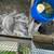 Rabbits 5 thumbnail