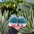 Vans Old Skool Teal Green Suede ultramarine green Sneakers 4 thumbnail
