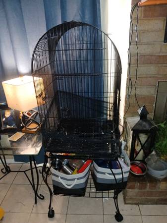 Bird cage with bird stuff 1