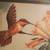 Framed Hummingbird Embroidery 3 thumbnail