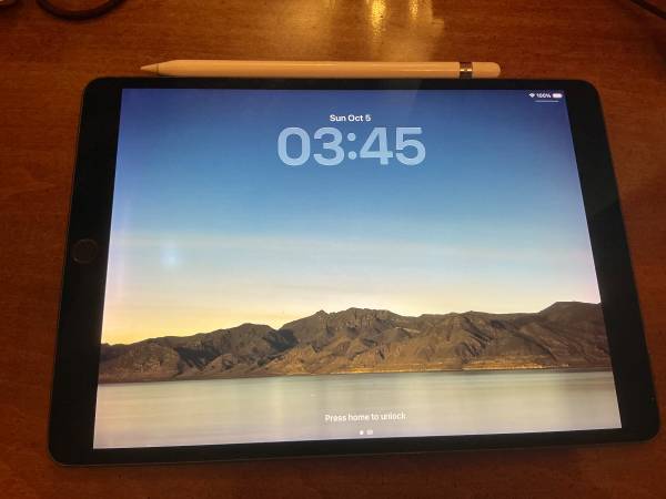 iPad Air 3 (10.5”, 256GB) + Apple Pencil (1st Gen