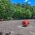 1 Bed, Major Employers Nearby, On-site Laundry Facility 1 thumbnail