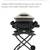 Portable Weber Q1000 gas grill 2 thumbnail