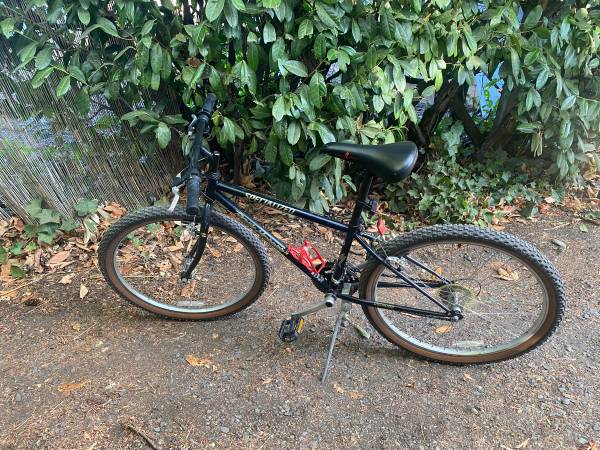 Specialized Rockhopper Mountain Bike 1