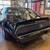 1981 Pontiac Trans Am Bandit Special Edition SKU:AA1001 6 thumbnail