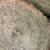 4x5 round bales 3 thumbnail