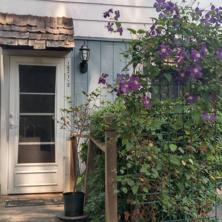 $675 / 2br - 1100ft2 - Mature, professional housemate wanted, $675 month (West Asheville)64029204724098121