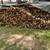 Firewood clean hardwood DRY 2 thumbnail