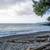 Extraordinary 1.18-acre Sooke Gem 15 thumbnail