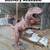 Yard Art TREX metal figures 1 thumbnail