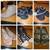 👢 Many Girls Womens Shoes Rain Boots Sandals & More 👢 1 thumbnail