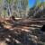 Land Development-Excavation & Grading-Septic System Install-Driveways 23 thumbnail