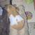 Syrian Hamster 4 thumbnail