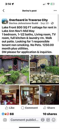 $1,250 / 1br - 800ft2 - Cottage for rent (Lake Ann)64037724043010120