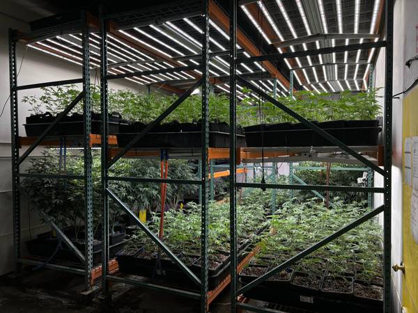 $525,000 Exceptional OLCC Indoor Cannabis Production Facility in Bend, Oregon63839289330433124