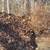 LANDSCAPING Fall Cleanups 14 thumbnail