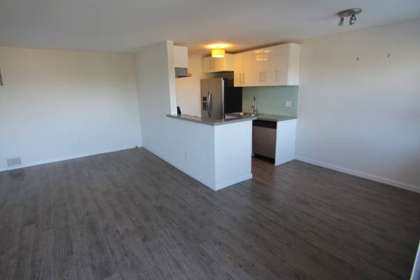 $4,295 / 1hab - 900ft2 - Hermoso apartamento de 1 dormitorio y 1 baño, remodelado completamente (Santa Mónica)63700958499713124