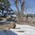 Spacious 3bedroom 1 bathroom home Scenic Mississipp River 8 thumbnail