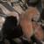 Kittens to be rehomed today. THANK you. 2 thumbnail
