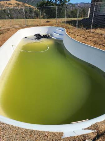 Large fiberglass pool or fish pond 1