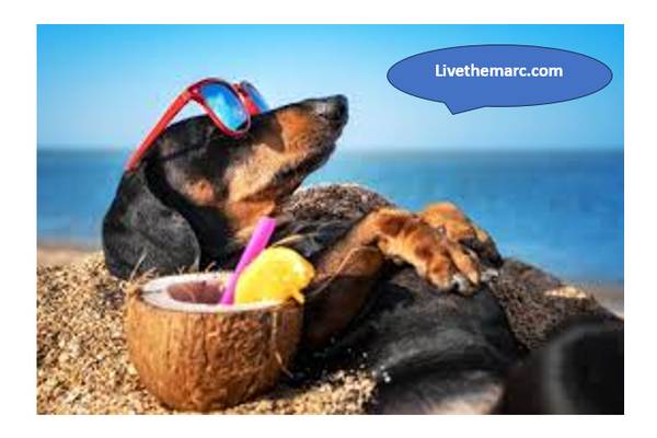 "Close to Everything: 3 Bedroom in Santa Barbara" 1