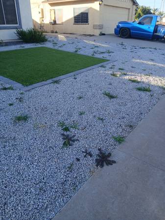 YARD WORK 🍀🌵🍂🌳 1