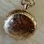 1892 Elgin Pocket Watch 7 thumbnail