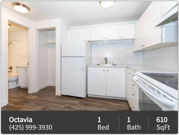 $1,495 / 1hab - 610ft2 - Amplio y ampliamente mejorado, 1 habitación, 1 baño en Shoreline (Shoreline)63688607897475120