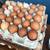 Egg layers 3 thumbnail