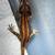 Crested Geckos and gargoyle geckos 24 thumbnail