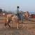 Horse training/Riding Lessons 2 thumbnail