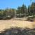 4.8 ac land property for sale borders public land, trees, views, mtns 19 thumbnail