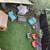 Hang shade sails in backyard Friday evening 2 thumbnail