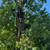 🌴🌲 TREE SERVICE DONE RIGHT 210-480-2836🌴🌲 3 thumbnail