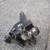 Adjustable trailer hitch ball mount heavy duty 2 thumbnail