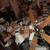 VARIOUS EXCELLENT CONDITION CEILING FANS 2 thumbnail