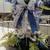 🎍EXQUISITE "REGAL" WINTER CARRIAGE RIDE CENTER PIECE $50 5 thumbnail